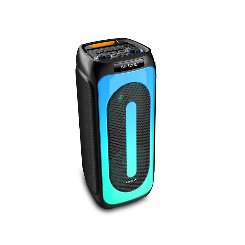 Dual 10 inch Waterproof Outdoor Trolley speaker