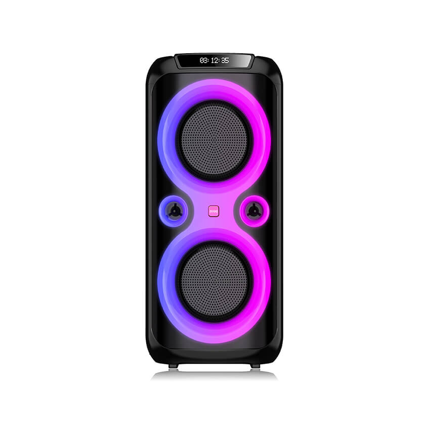 Dual 8 inch Outdoor Party Speaker