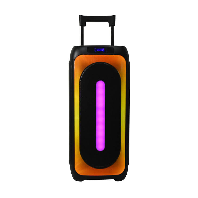 Dual 10 inch Waterproof Outdoor Trolley speaker