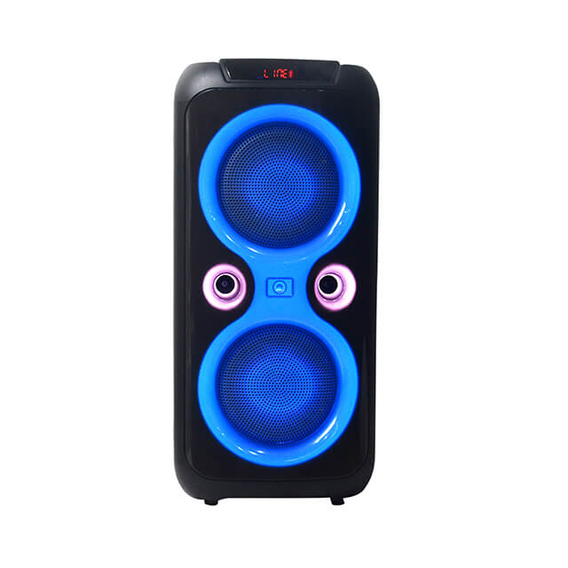 Dual 8 inch Outdoor Party Speaker