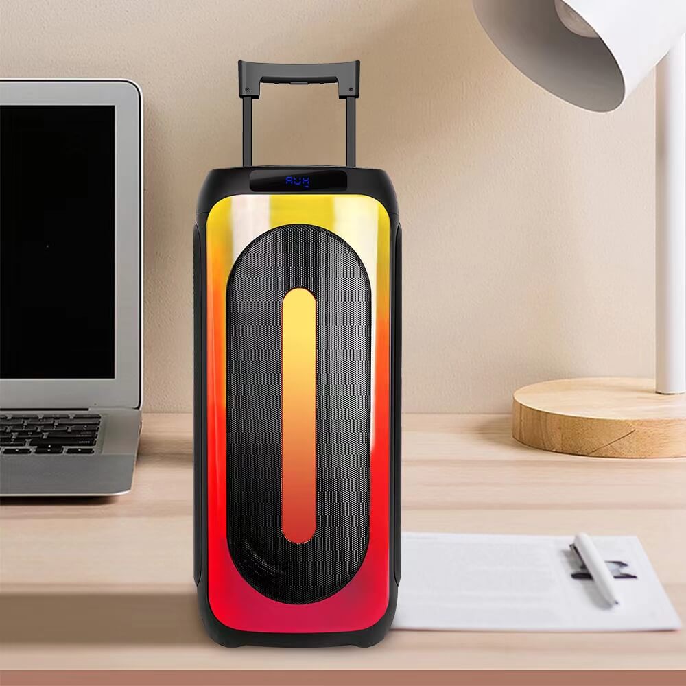 Dual 10 inch Waterproof Outdoor Trolley speaker